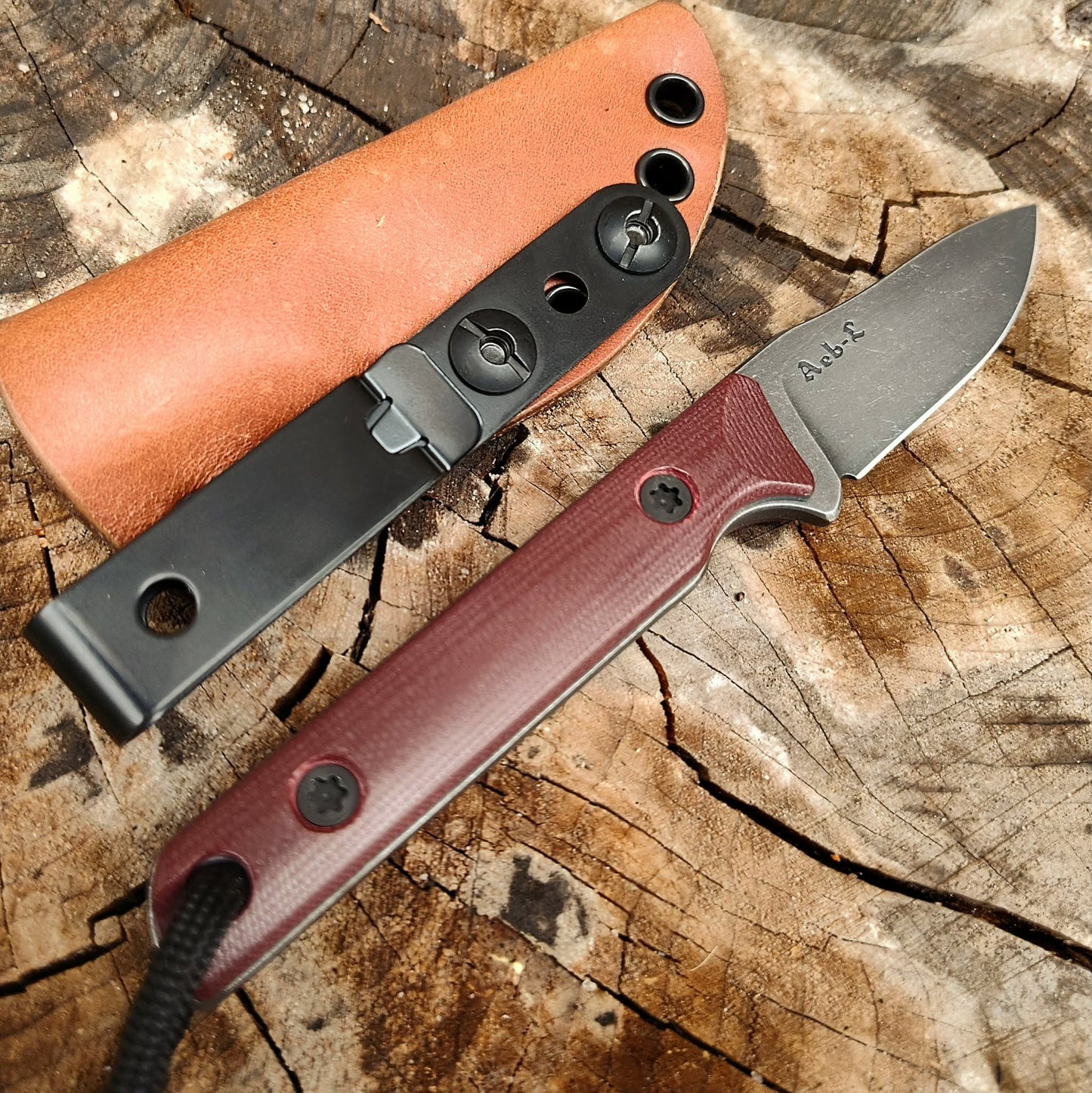 Bloodrose Fang EDC
